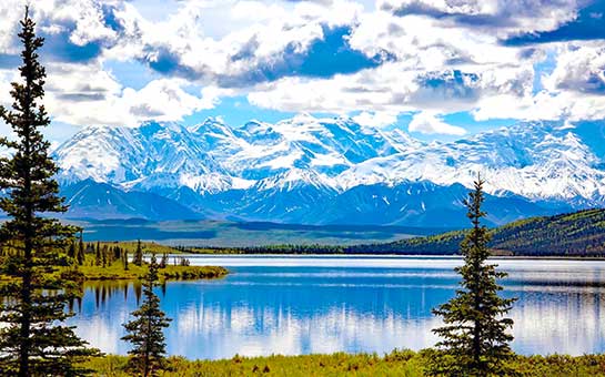 Seguro de viaje al parque nacional Denali